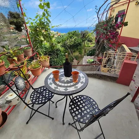 Pensionat Quinta Do Ribeiro Real