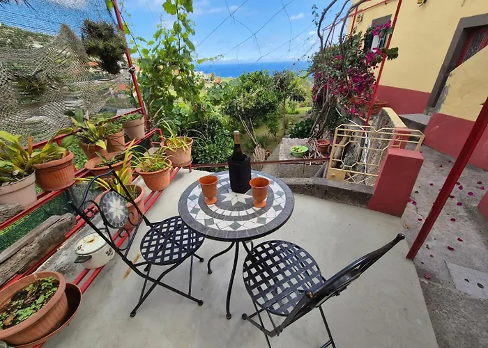 Maison d'hôtes Quinta Do Ribeiro Real