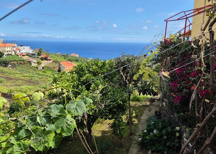 Quinta Do Ribeiro Real Maison d'hôtes 3*